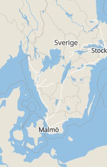 Översiktskarta som visar hela Sverige med en markör som visar ungefär var händelsen inträffat